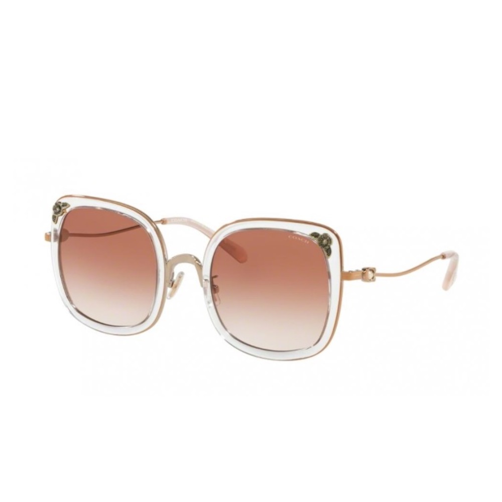 Coach sunglasses with case